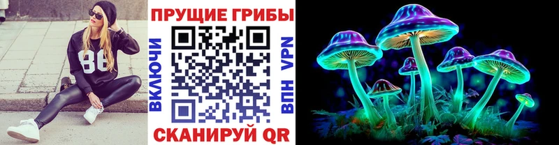 Псилоцибиновые грибы Magic Shrooms  Сысерть 