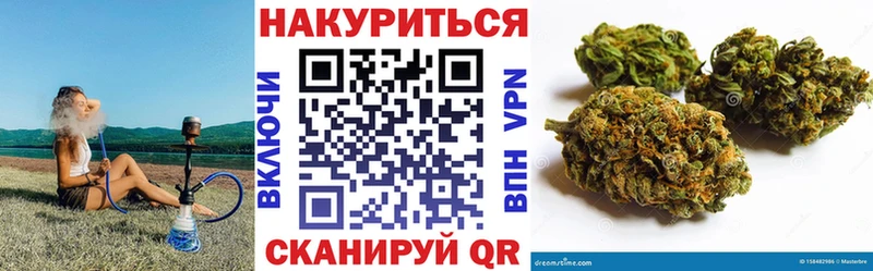 закладки  Сысерть  Каннабис индика 